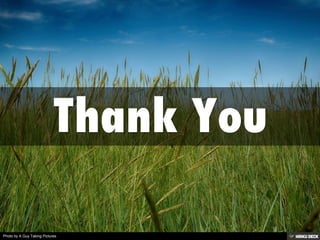 Photo by A Guy Taking Pictures
 