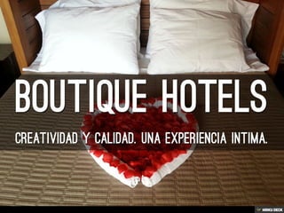 Boutique Hotels  creatividad y calidad. Una experiencia Intima. 