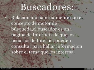 Photo by speedoflife
 