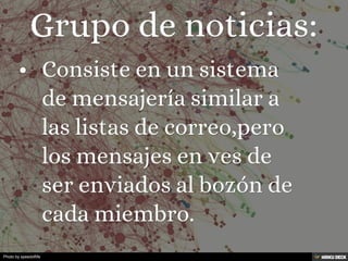 Photo by speedoflife
 