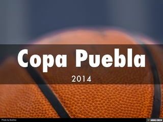 Copa Puebla  2014 