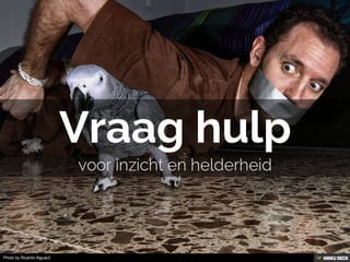 Photo by Ricardo Alguacil
 