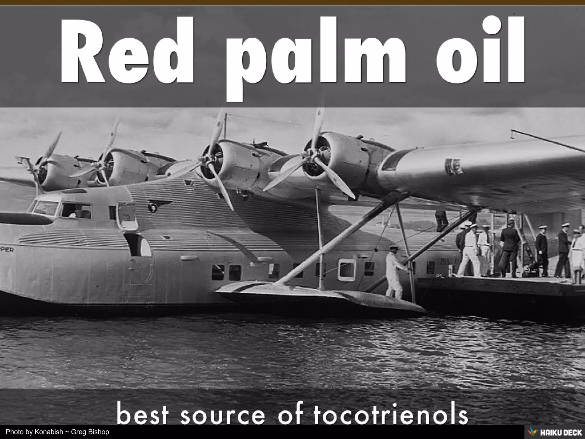 Photo by Konabish ~ Greg Bishop
 