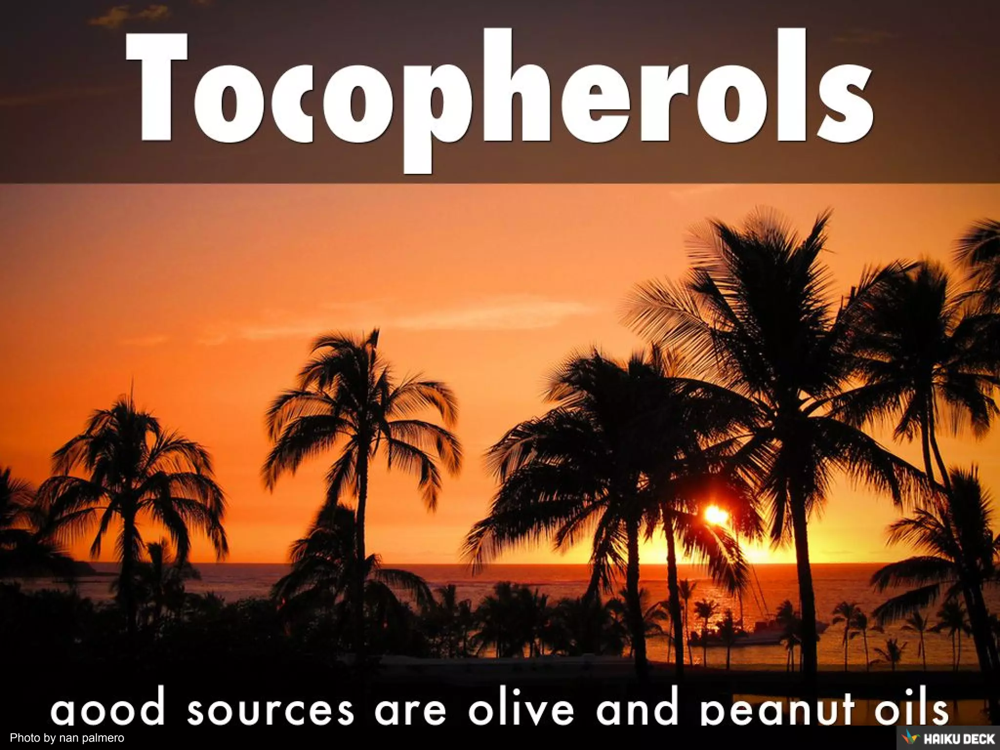 Photo by nan palmero
 