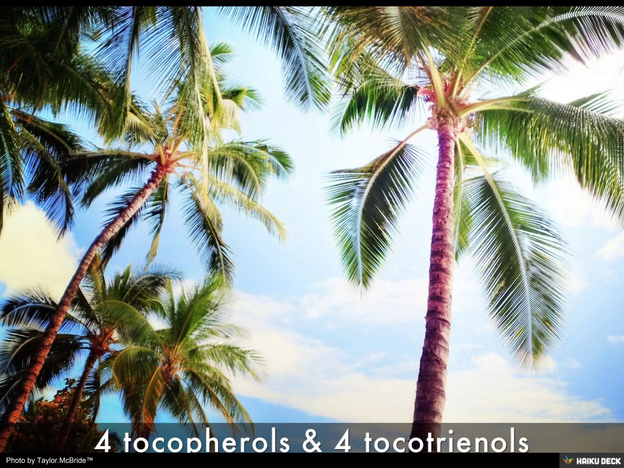 Photo by Taylor.McBride™
 