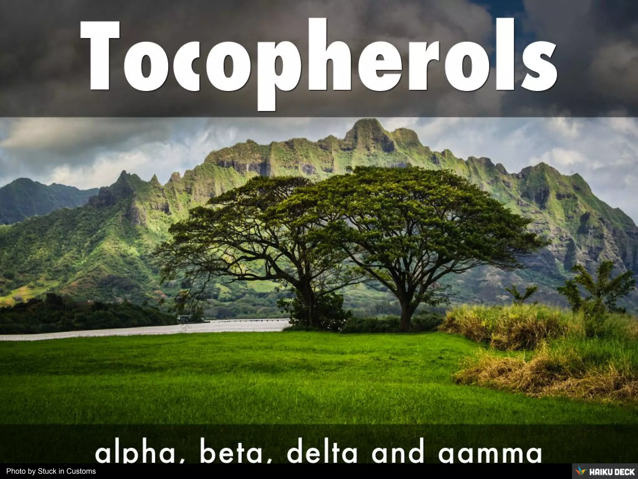 Photo by Stuck in Customs
 