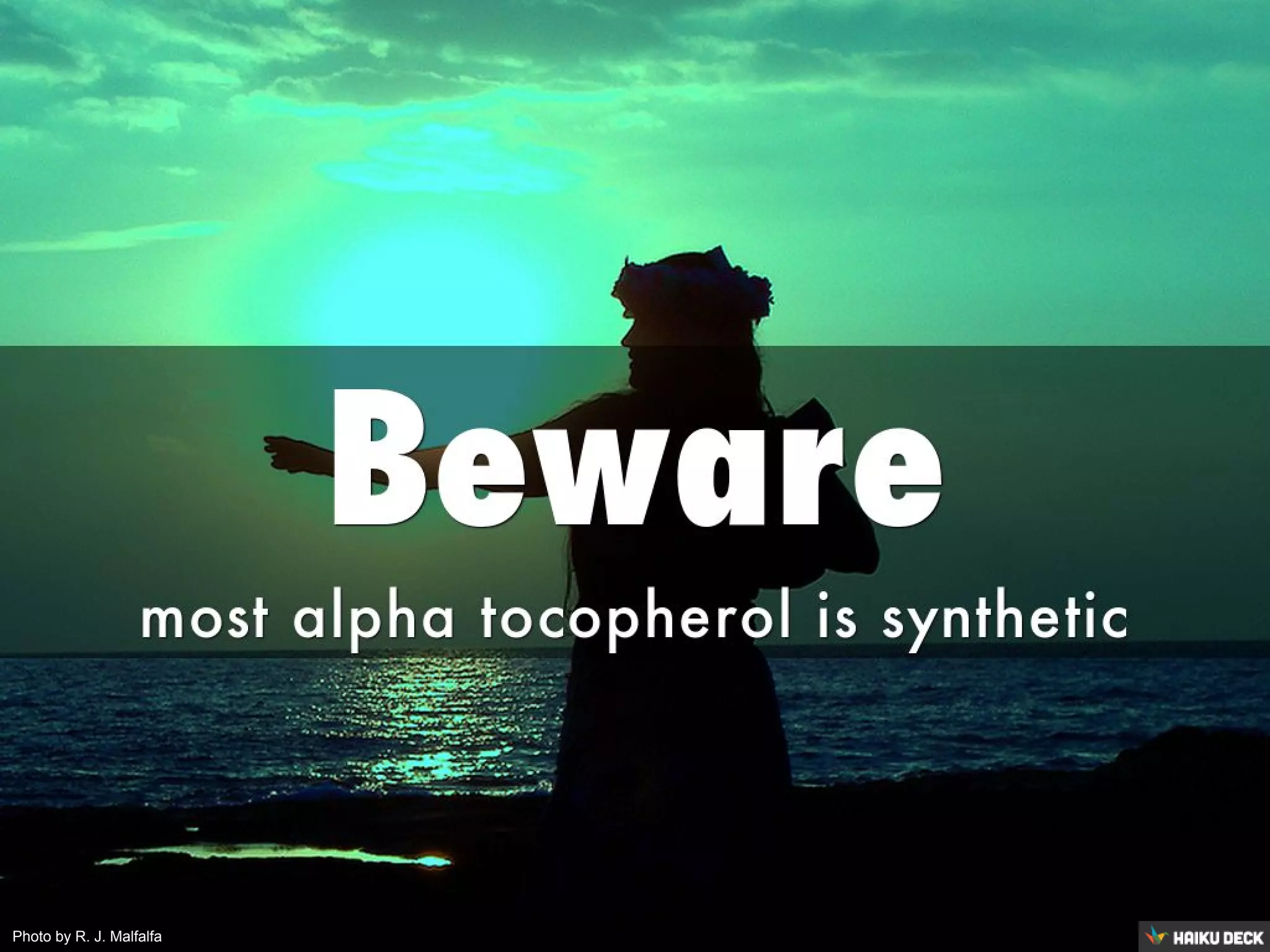 Photo by R. J. Malfalfa
 