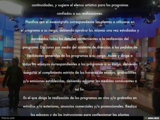 director de televisión publica