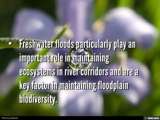 Photo by ecstaticist
 