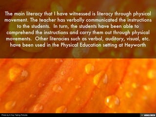 Photo by A Guy Taking Pictures
 