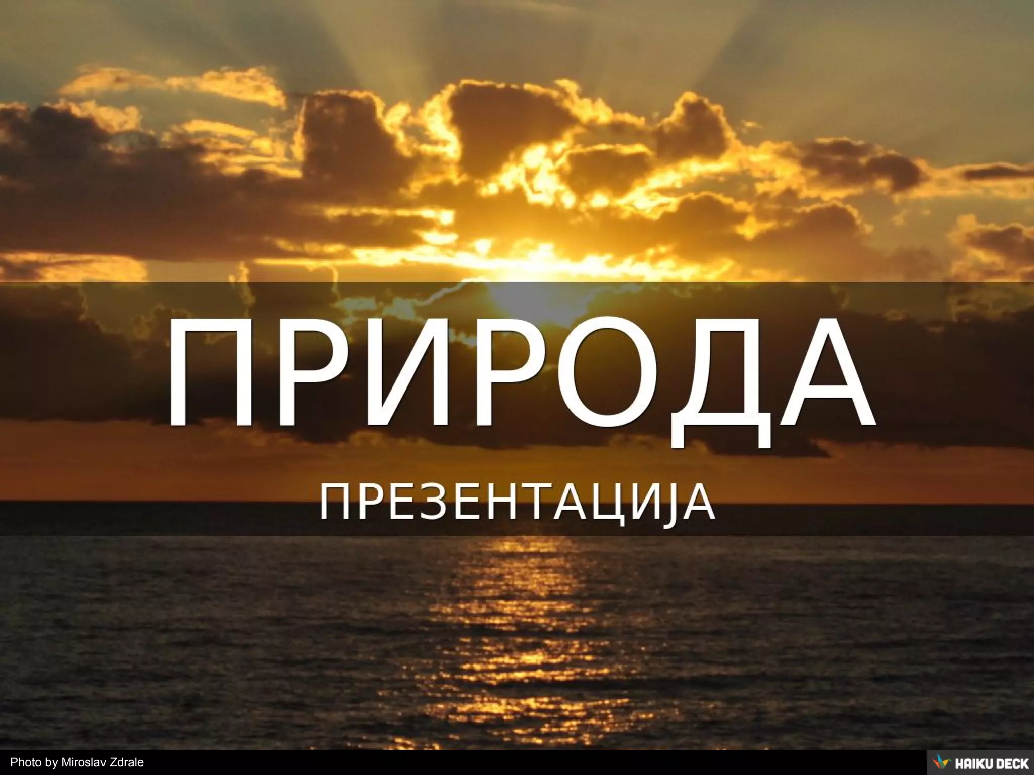 Photo by Miroslav Zdrale 
 