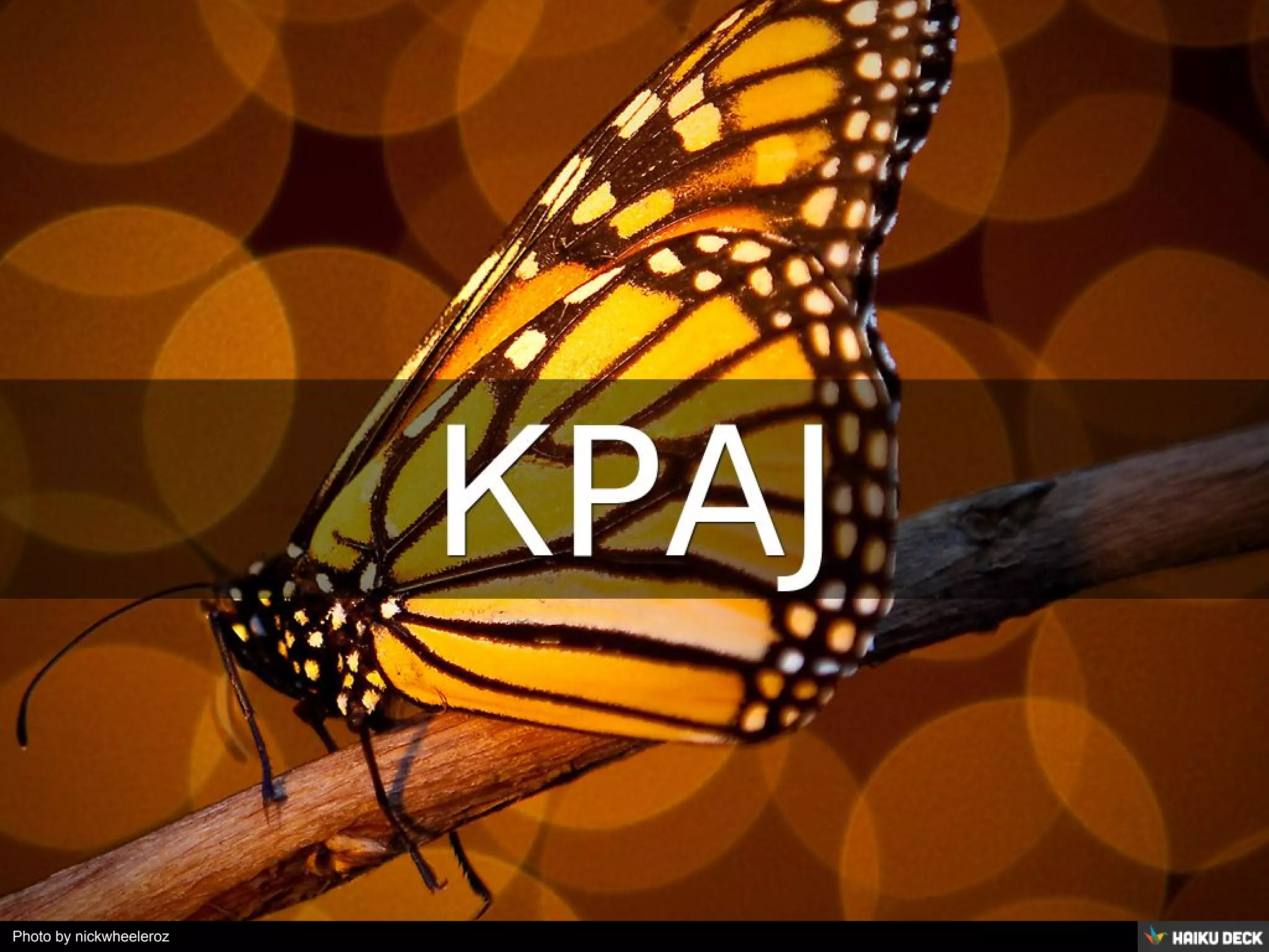 Photo by nickwheeleroz 
 