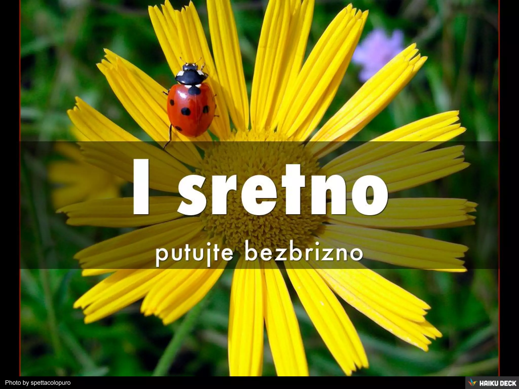 Photo by spettacolopuro
 