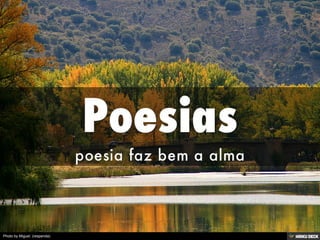 Photo by Miguel. (respenda)