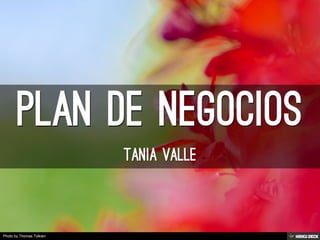Plan de Negocios  Tania Valle 