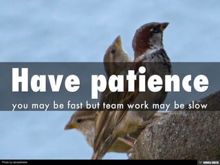 Photo by davedehetre
 