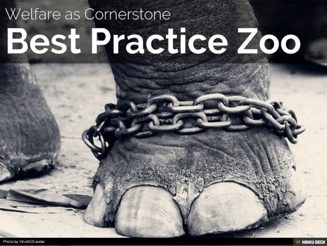 Zoo Animal Welfare