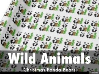 Quality Christmas Gift Wrap