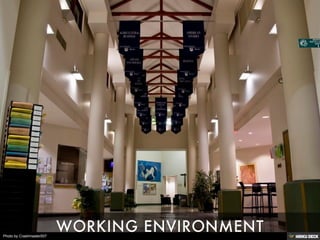 Photo by Crashmaster007
 