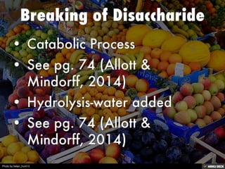 Photo by hetan_hunt13
 