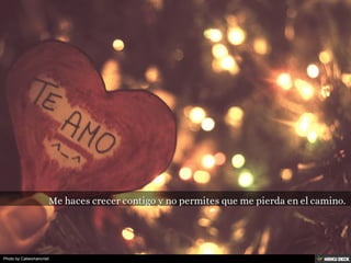 Photo by Catwomancristi
 