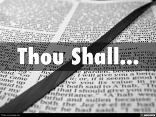 Photo by monkeyc.net
 