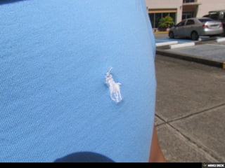 FOTOGRAFIA