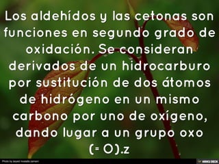 ALDEHIDOS Y CETONAS