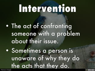 Photo by A. Drauglis
 