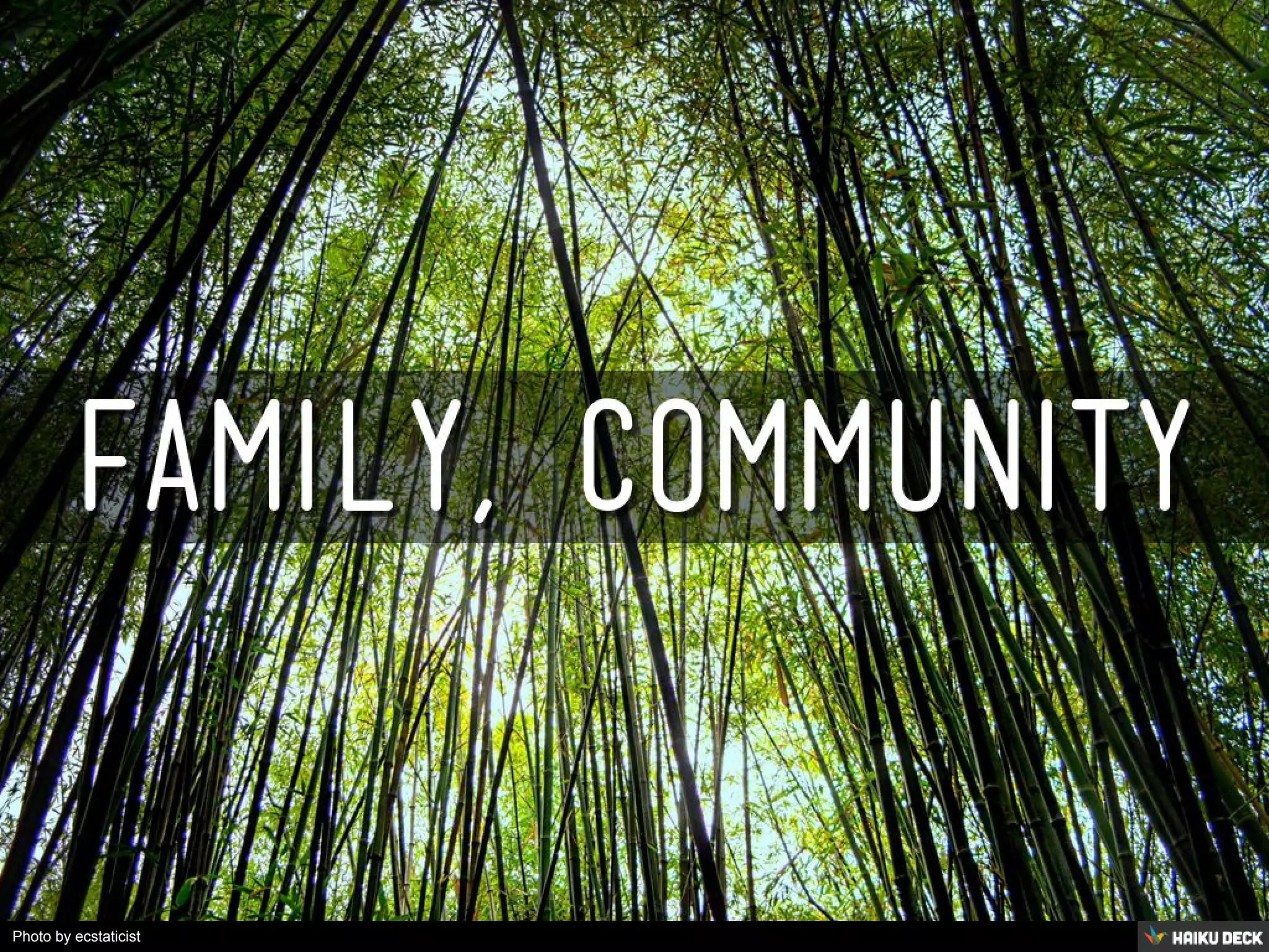 Photo by ecstaticist