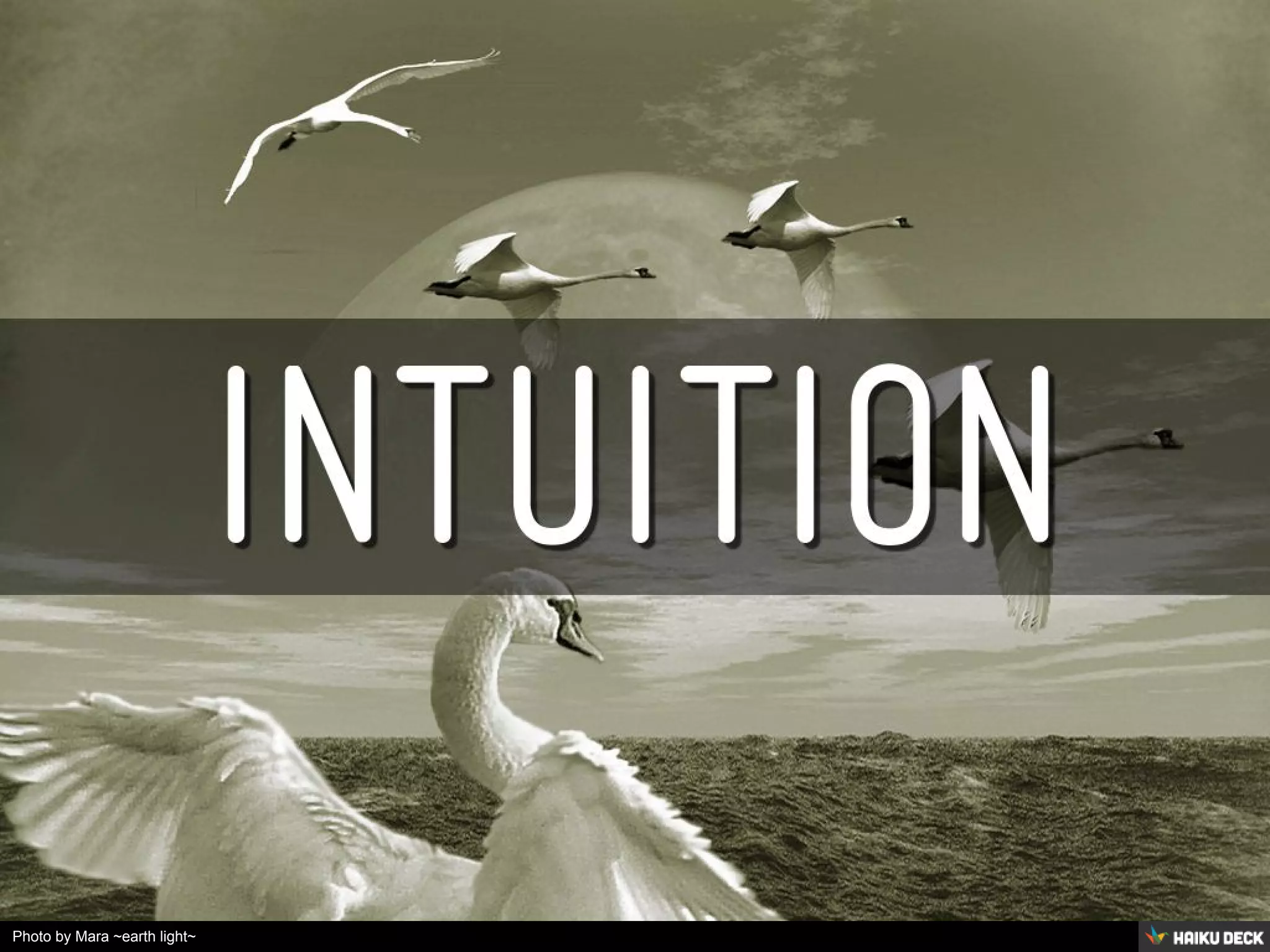 Photo by Mara ~earth light~