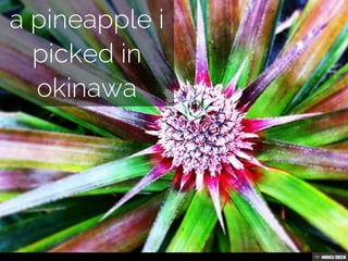 Possibly the best resume you'll ever view
Created with Haiku Deck, presentation software that's simple, beautiful and fun.
page 18 of 33
 