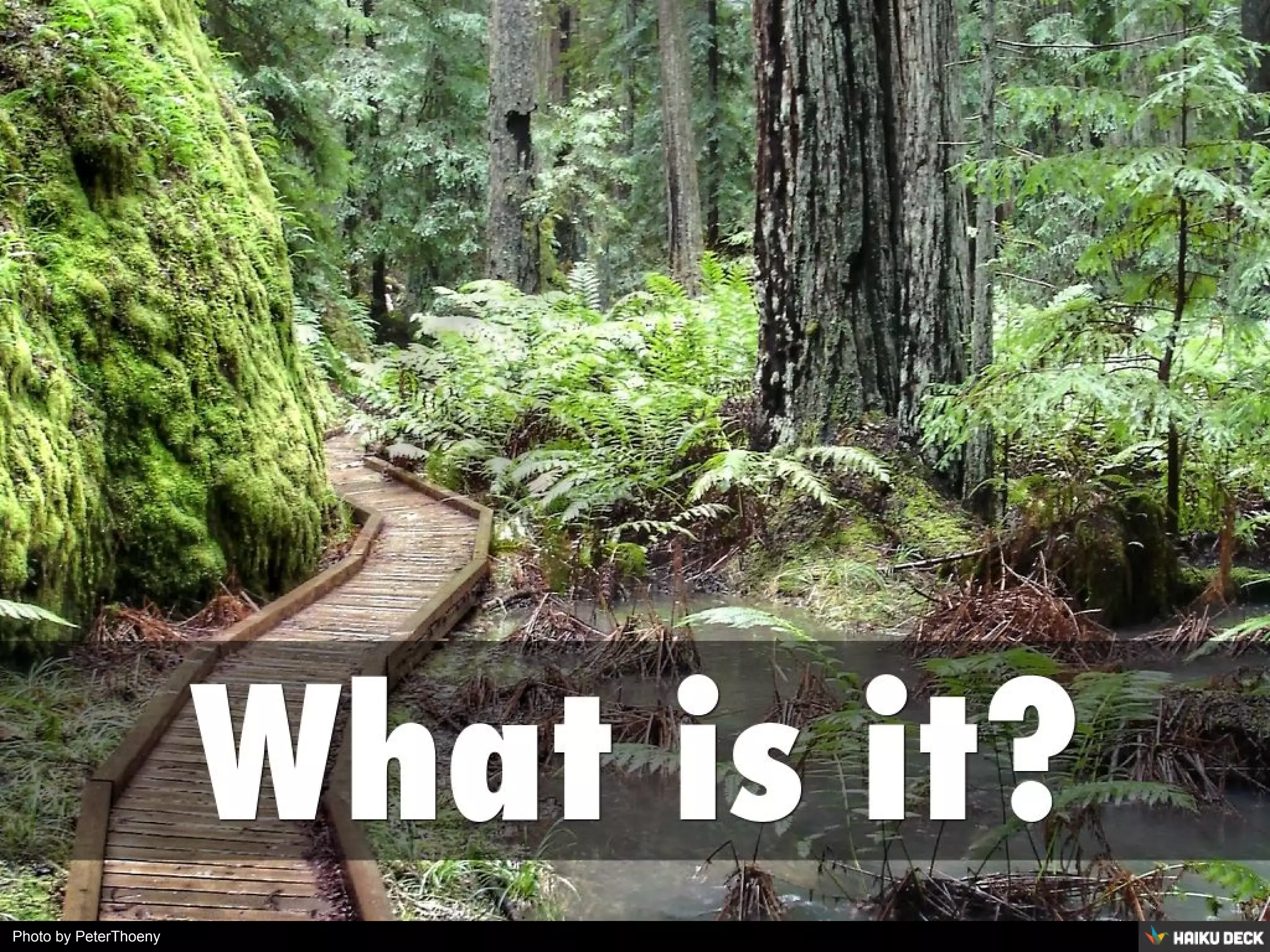 Photo by PeterThoeny