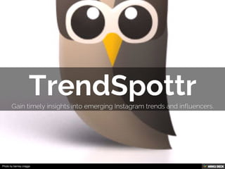 JOEY Restaurant Group