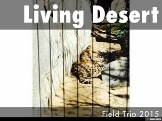 Living Desert