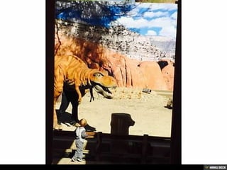 Living Desert