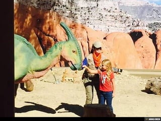Living Desert