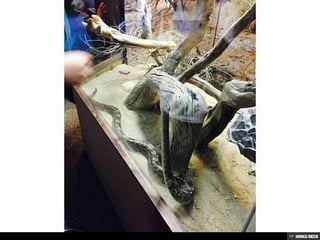 Living Desert