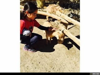 Living Desert