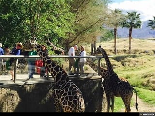 Living Desert