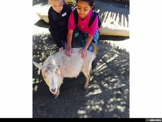 Living Desert