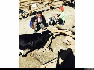 Living Desert