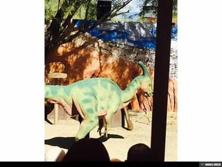 Living Desert