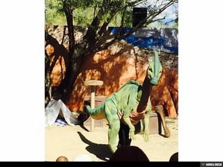 Living Desert