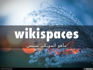 wikispaces  ماهو المويكى سبيس 