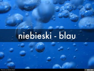 Photo by Luz Adriana Villa A.
 