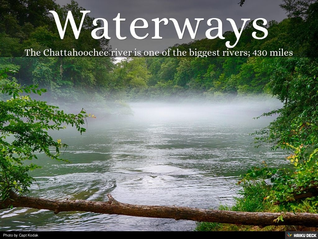 Examples of fauna picture