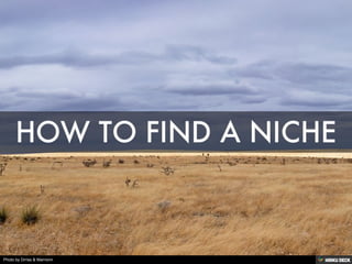 HOW TO FIND A NICHE 