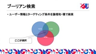 ブーリアン検索
• ユーザー情報とターゲティング条件を論理和・積で検索
年齢
地域
性別
ここが選択
 