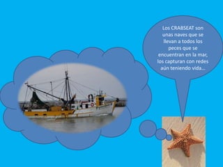 Los CRABSEAT son unas naves que se llevan a todos los peces que se encuentran en la mar, los capturan con redes aún teniendo vida…